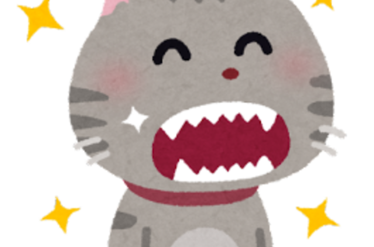 猫